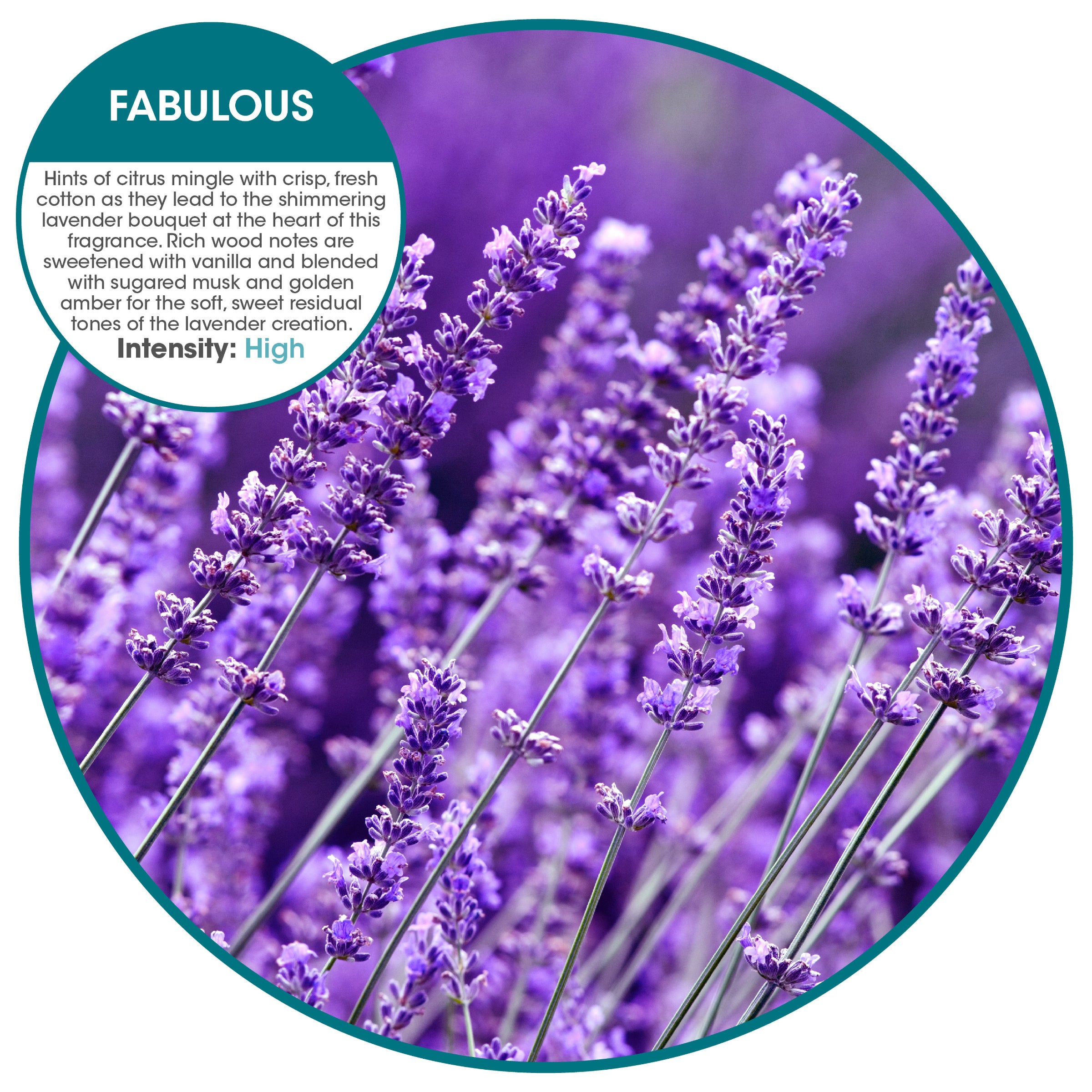 Wave 360 Fabulous (30 Pack)