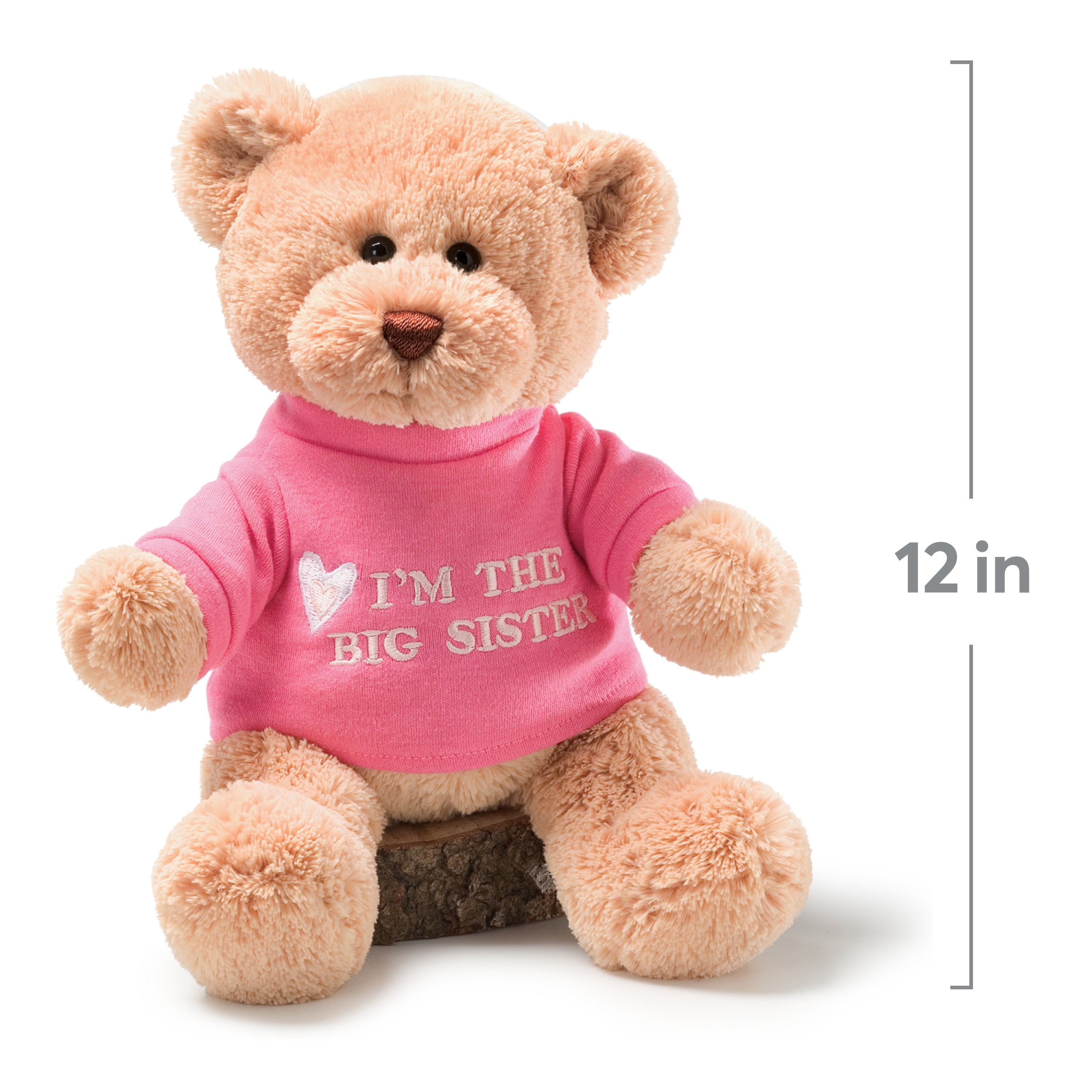 GUND “I’m the Big Sister” Message Bear with Pink T-Shirt, Teddy Bear Stuffed Animal for Ages 1 and Up, Brown, 12”