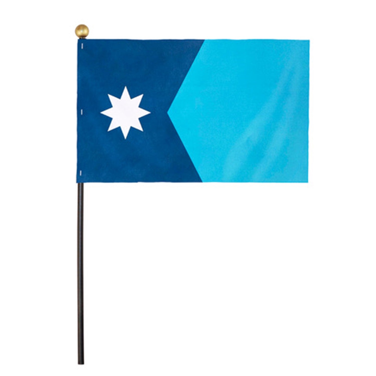 Minnesota State Flag 4x6 in. Nylon MTD 100% Made in USA to Official State Design Specifications. 2024