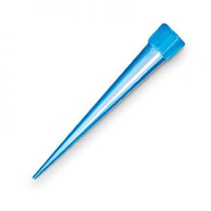 Pipettenspitzen, Blue, Bis 1000 l