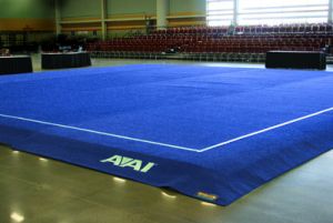 American Elite Carpet 45' Square