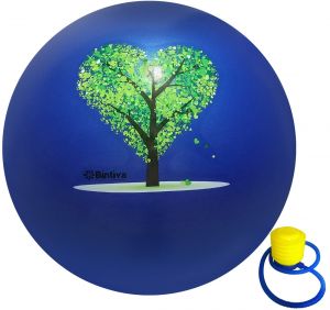 Exercise Ball With Stabilizing Sand 45cm Blue