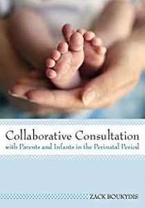 Collaborative Consultation With Parents And Infants In The Perinatal Period