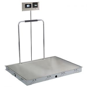 In-Floor Dialysis Scale, 48"x36" SS Deck, Hand Rail, 855 Recessed Wall-Mount Indicator