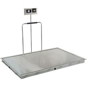 In-Floor Dialysis Scale, 72"x48" SS Deck, Hand Rail, 855 Recessed Wall-Mount Indicator