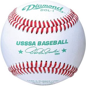 Bucket W/lid W/1dz 4u147y Usssa 12" Leather Game Balls