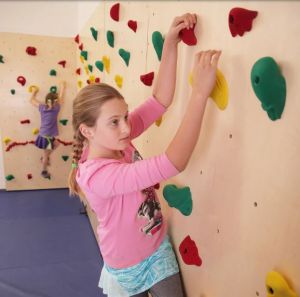 Baltic Birch Climbing Wall  8'x20' - Panels And Holds Only-8' H 