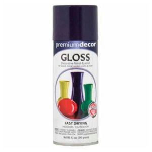 Plum Purple, Gloss, 12 Oz