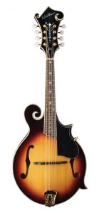 Washburn M3SW Americana Series F-Style Mandolin. Tobacco Sunburst 
