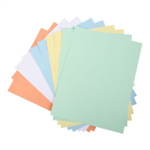 Data Card Replacement Sheet, 8.5 x 11 Sheets, Perforated at 1", Assorted, 10/Pack