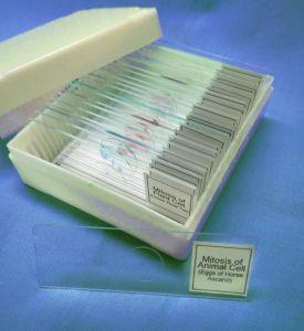 Custom Biology Glass Slide Set-prepared With 23 Assorted Specimens. 