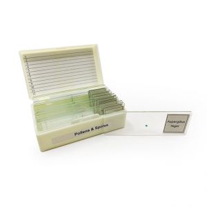 Pollen & Spores Glass Slide Set-prepared With 12 Assorted Specimens. 