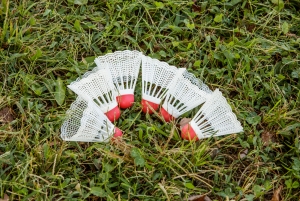 Shuttlecock (white 6pk)