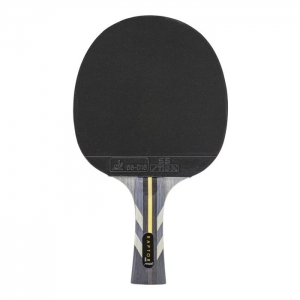 Raptor Table Tennis Racket