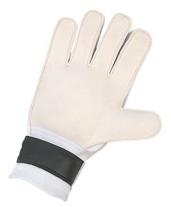 Goalie Gloves-adult Large Size 10